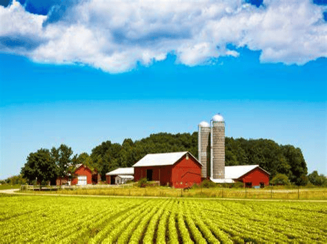 Agriculture